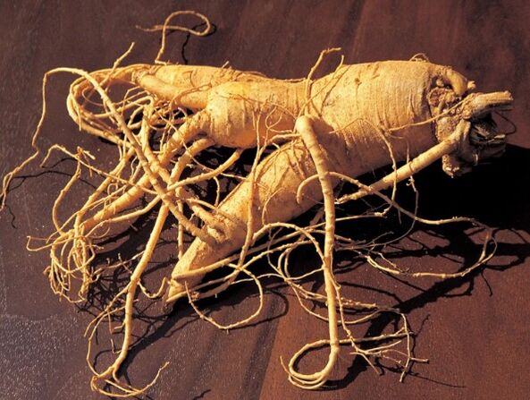 Radice di ginseng