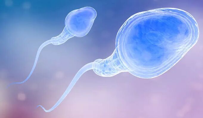 Gli spermatozoi possono essere presenti nel pre-eiaculato di un uomo